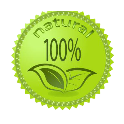 SHIBAMA Array image72