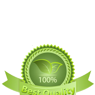 SHIBAMA Array image120