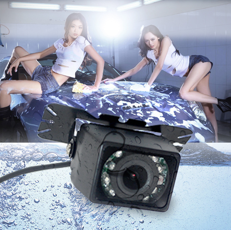 SHIBAMA Array image8