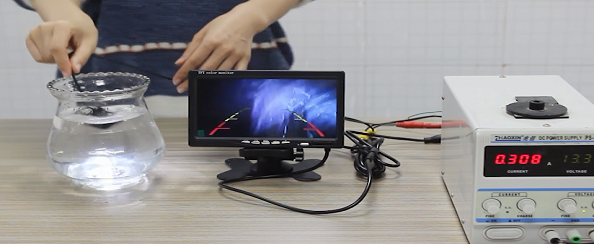 SHIBAMA Array image46