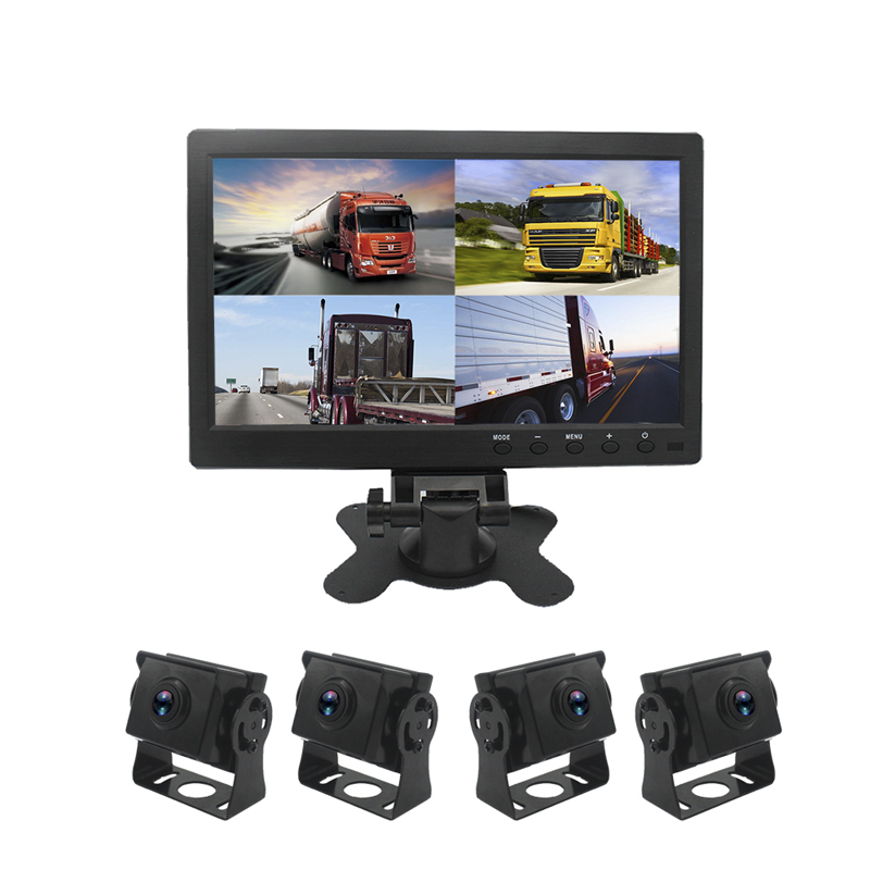 SHIBAMA Array image71