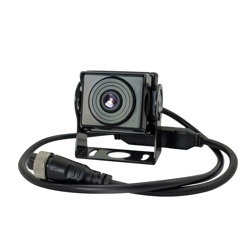 SHIBAMA Array image46