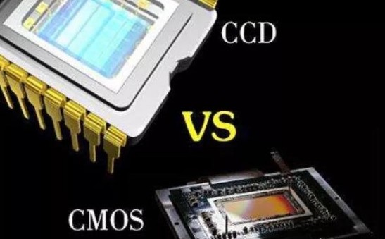 SHIBAMA Array image63